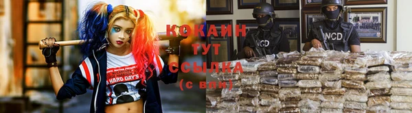 гидропоника Лиски