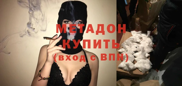 шишки Павловск