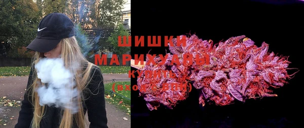 шишки Павловск