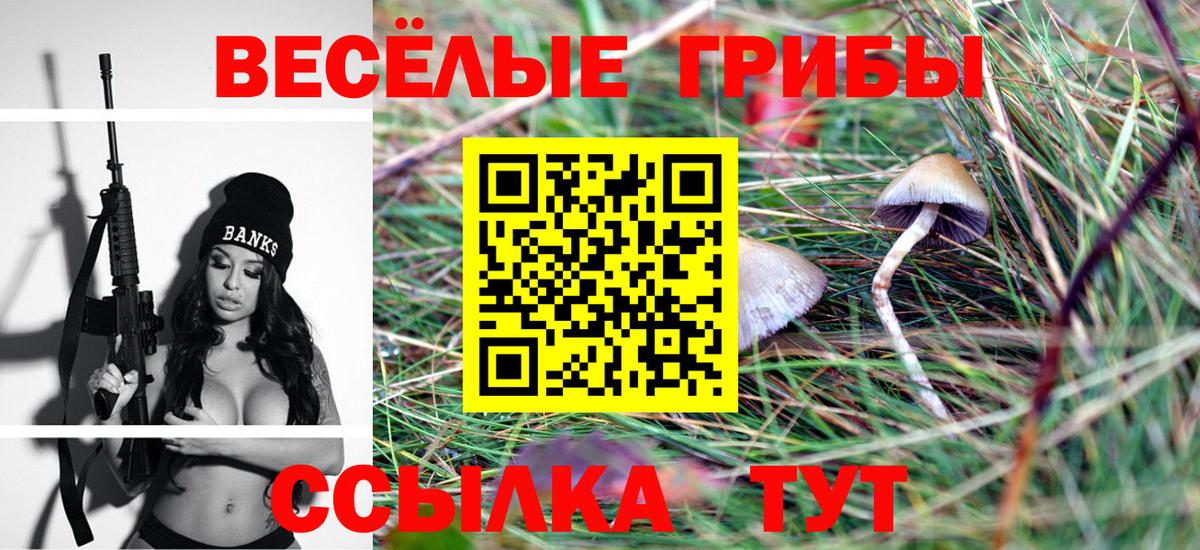 Псилоцибиновые грибы прущие грибы  Вход с VPN  Белгород 