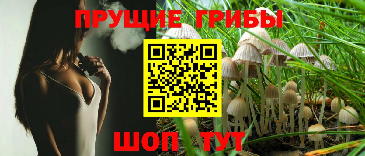 что такое   Белгород  Псилоцибиновые грибы Psilocybine cubensis 